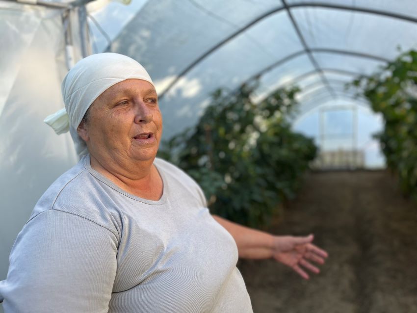 Hana Mehidić na slici stoji u plasteniku