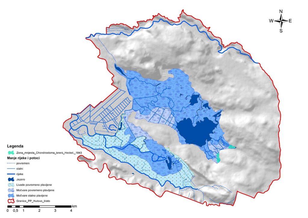 Zone mrijesta vrste Chondrostoma knerii Heckel, 1843 na području PP Hutovo blato